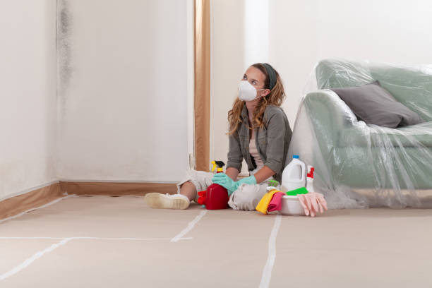 Reliable Mold Inspection contractor in Fairview, GA by WQB Mold Removal